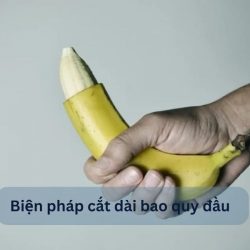 https://phongkhamvietsing.vn/wp-content/uploads/2024/07/bien-phap-cat-bao-quy-dau-250x250.jpg