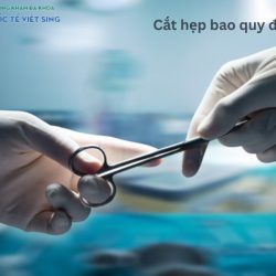 https://phongkhamvietsing.vn/wp-content/uploads/2024/07/cat-hep-bao-quy-dau-2-250x250.jpg