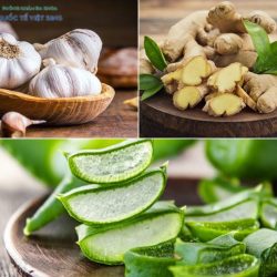https://phongkhamvietsing.vn/wp-content/uploads/2024/07/chua-viem-bao-quy-dau-bang-dan-gian-250x250.jpg