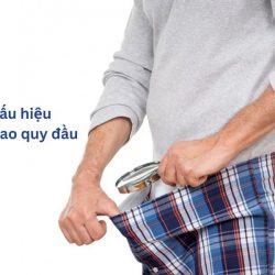 https://phongkhamvietsing.vn/wp-content/uploads/2024/07/dau-hieu-dai-bao-quy-dau-250x250.jpg