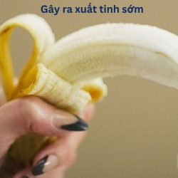https://phongkhamvietsing.vn/wp-content/uploads/2024/07/gay-xuat-tinh-som-250x250.jpg