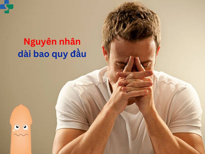 nguyên nhân dài bao quy đầu