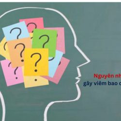 https://phongkhamvietsing.vn/wp-content/uploads/2024/07/nguyen-nhan-gay-viem-bao-quy-dau-2-250x250.jpg