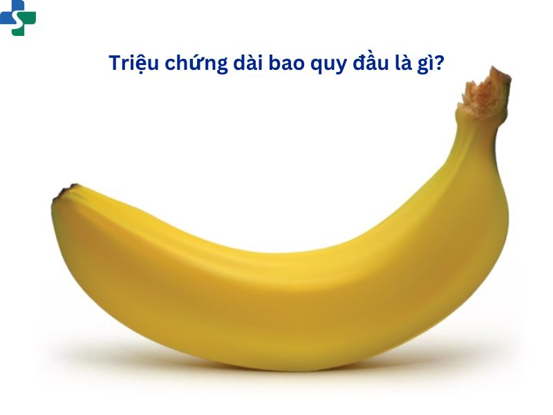 triệu chứng dài bao quy đầu là gì?